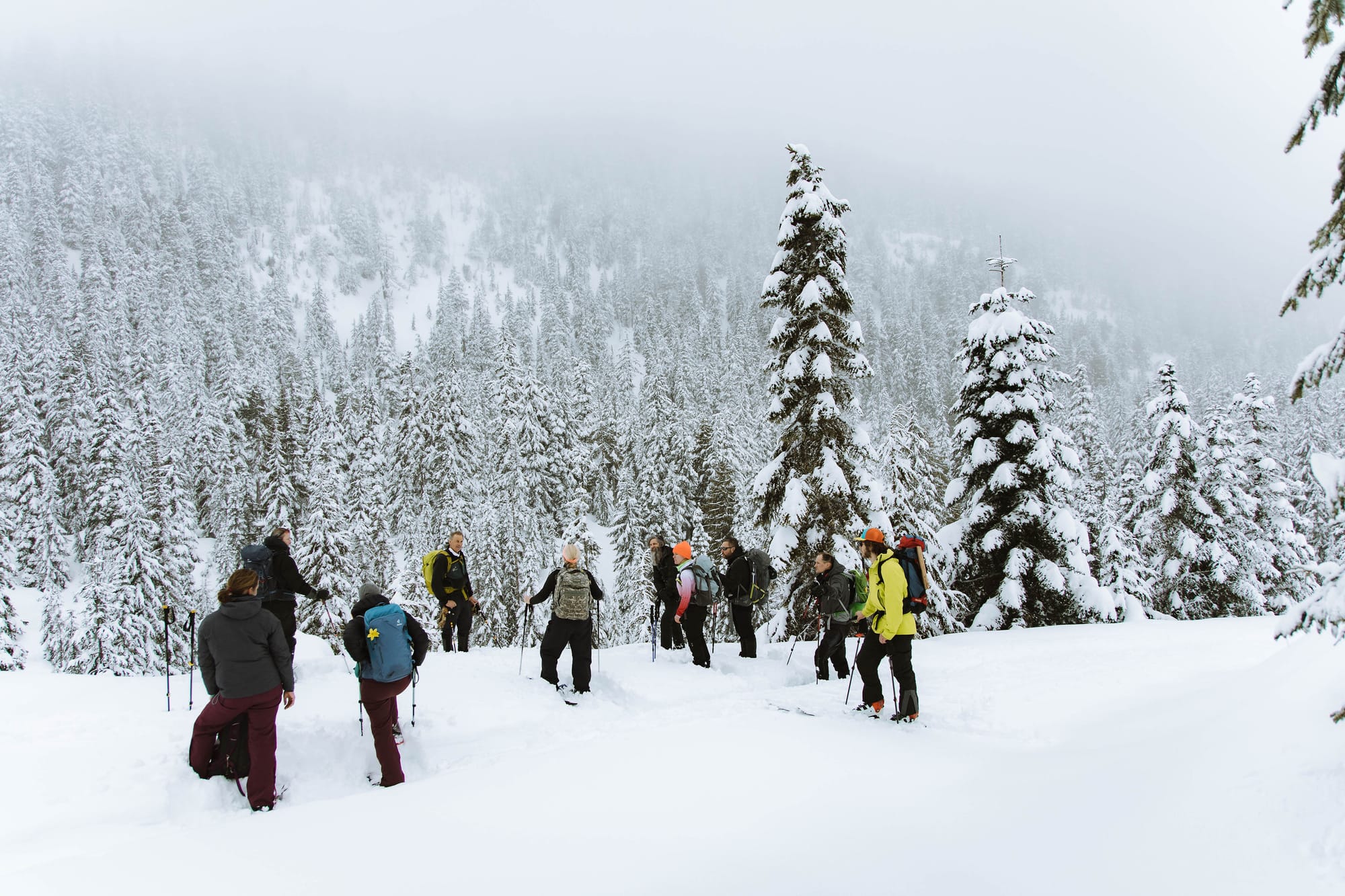 Ascent Fraser Valley Snow Report