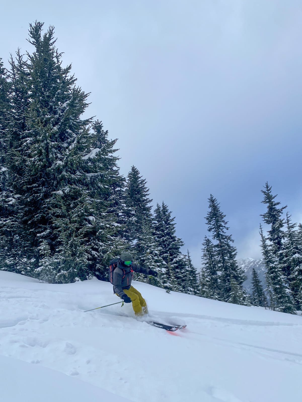 Dec 19 - Fraser Valley Conditions Report