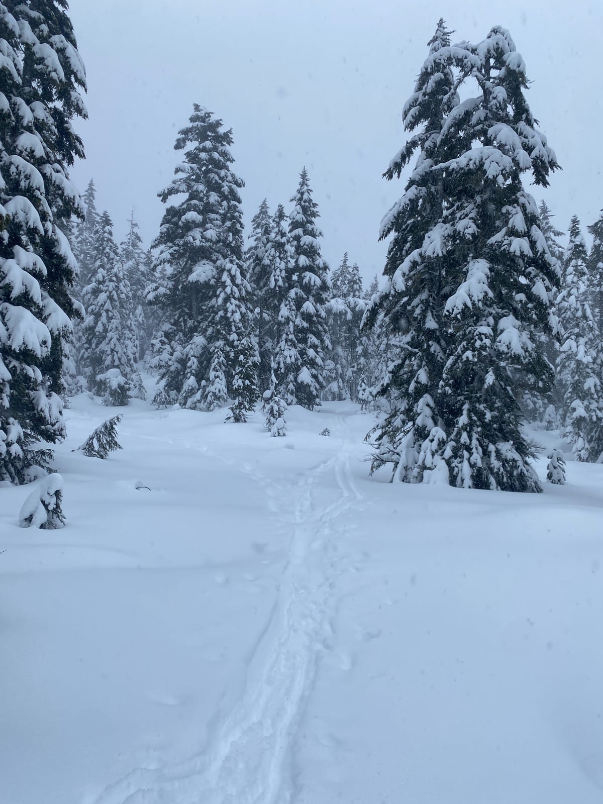 Bring on the Snow!