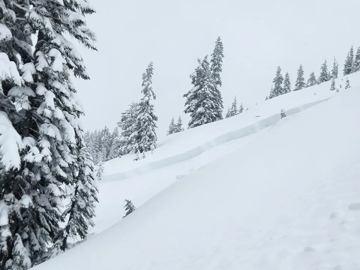 Powder & Persistent Weak Layers