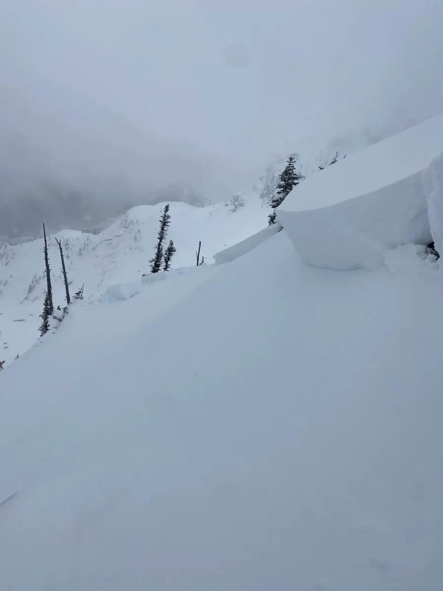 March Powder Days!