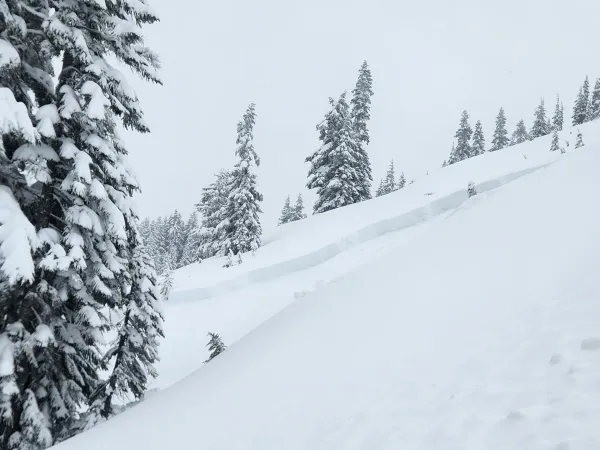Powder & Persistent Weak Layers