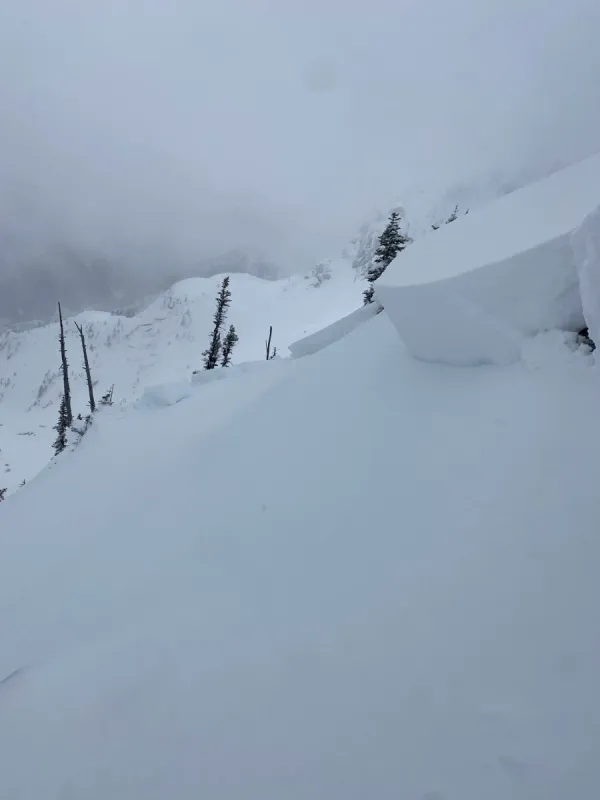 March Powder Days!